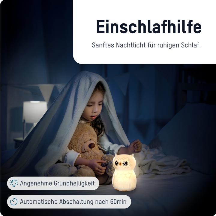 Actual product image Ansmann Owl night light