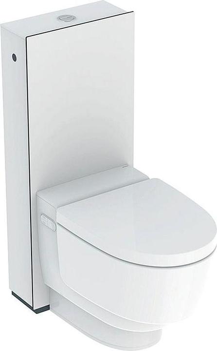 Actual product image Geberit Complete WC system