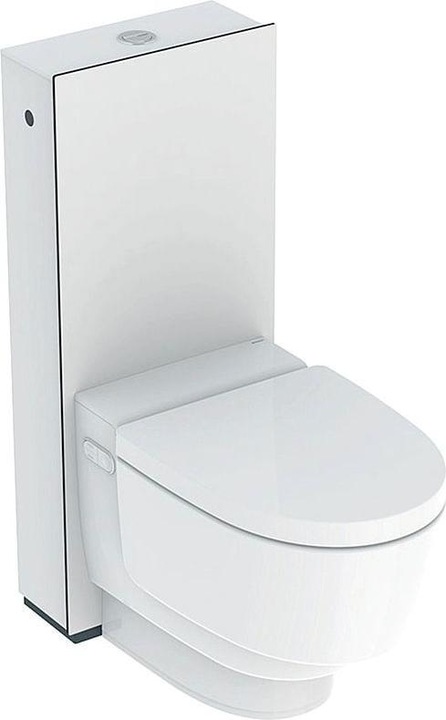 Actual product image Geberit Complete WC system