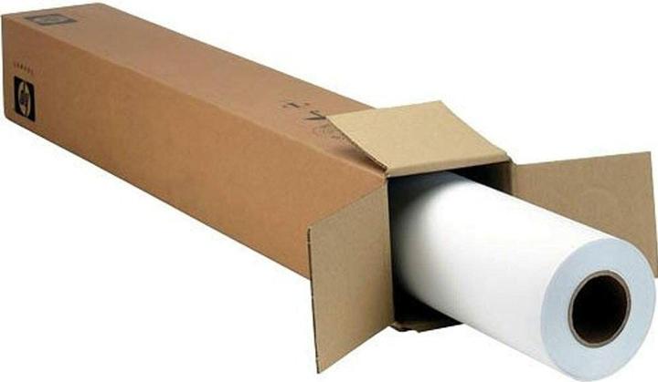Actual product image HP Plotter Paper C0F18A Roll 24" Pack of 2