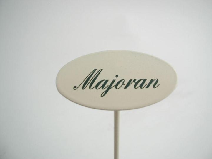 Actual product image Münder Spice plug marjoram (20 cm)