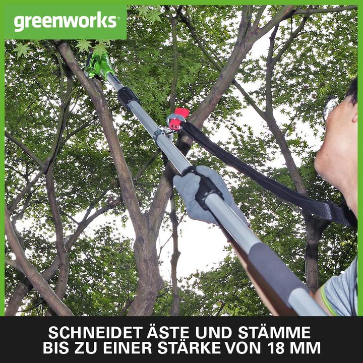Actual product image Greenworks G24PSHK2 2-in-1 battery hedge trimmer incl. battery 2Ah and charger (Cordless hedgecutters)
