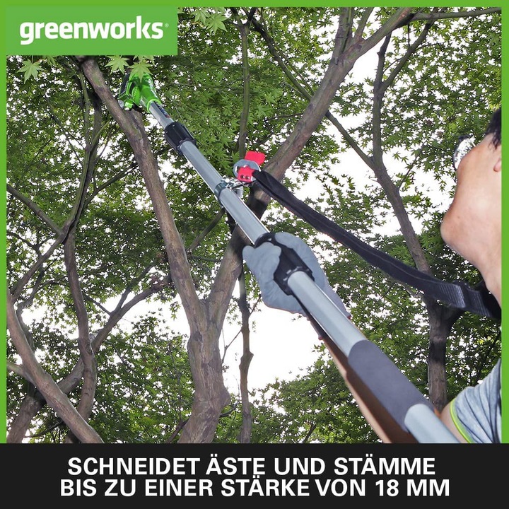 Immagine prodotto Greenworks Tagliasiepi a batteria 2 in 1 G24PSHK2 con batteria da 2Ah e caricabatteria (Tagliasiepi a batteria)
