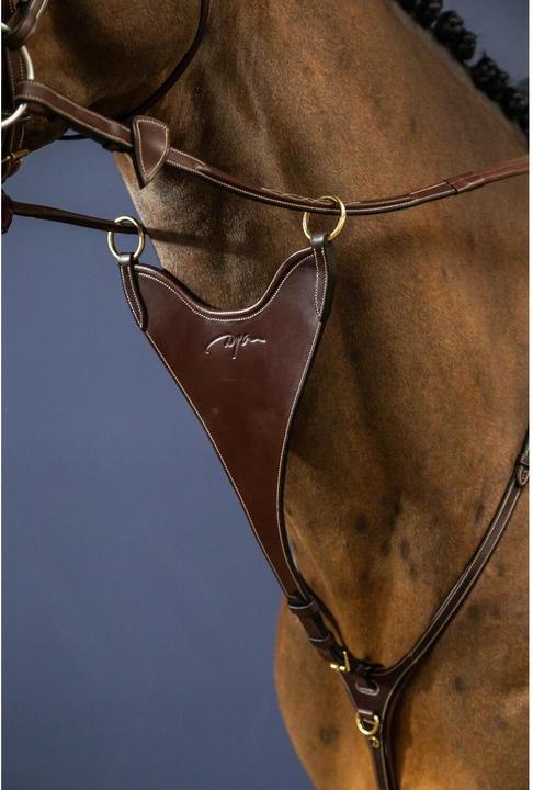 Immagine prodotto Dy'on forca martingala completamente rigida