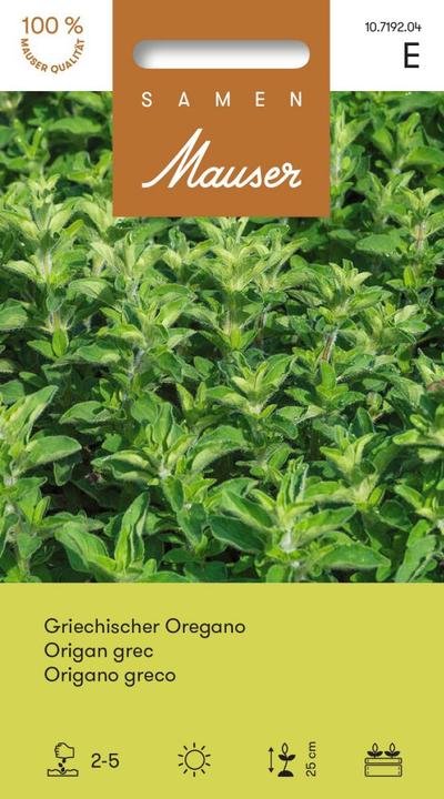 Actual product image Samen Mauser Greek oregano (Herb seeds)