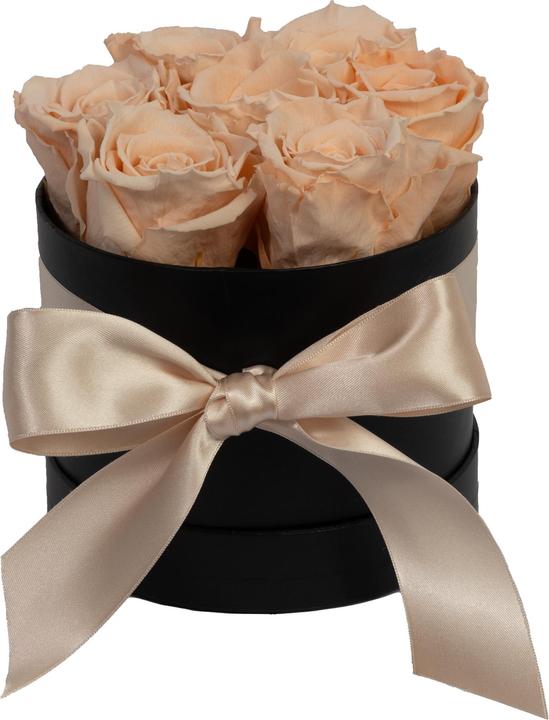 albicocca (scatola nera)