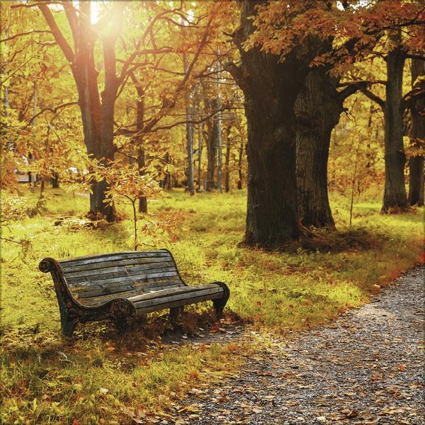 Actual product image Augenblicke der Stille 2026 (30 x 30 cm)