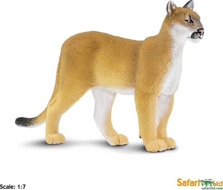 Produktbild Safari Florida-Puma