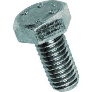 Werkstarck, Viti, Bulloni esagonali M 6x 30mm acciaio zinc (100 Viti per pezzo)