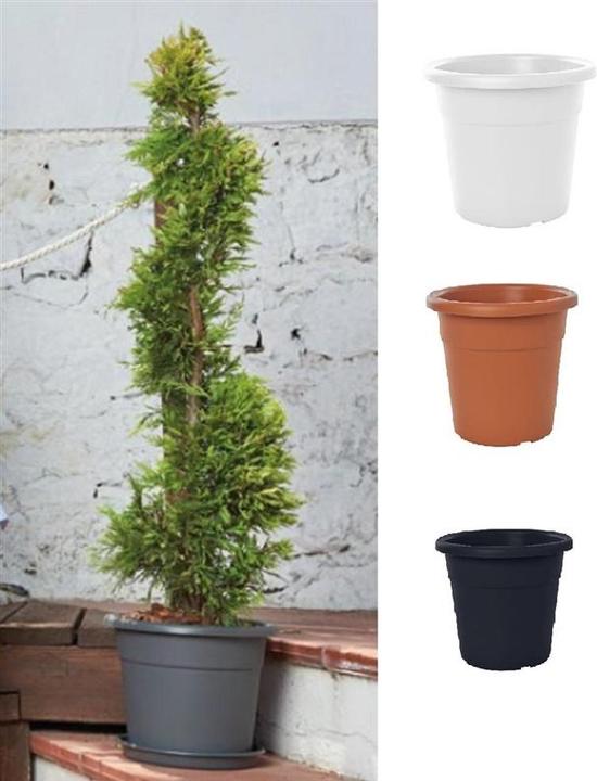 Produktbild Domoletti Plastic pot,, MA000030 -100, Ø30 cm, brown (30 x 23 cm)