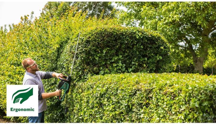 Actual product image Bosch Home & Garden AdvancedHedgeCut 65 (Electrical connection)
