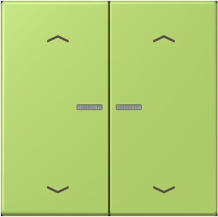 Actual product image JUNG BTLC17102P221 HOME push button