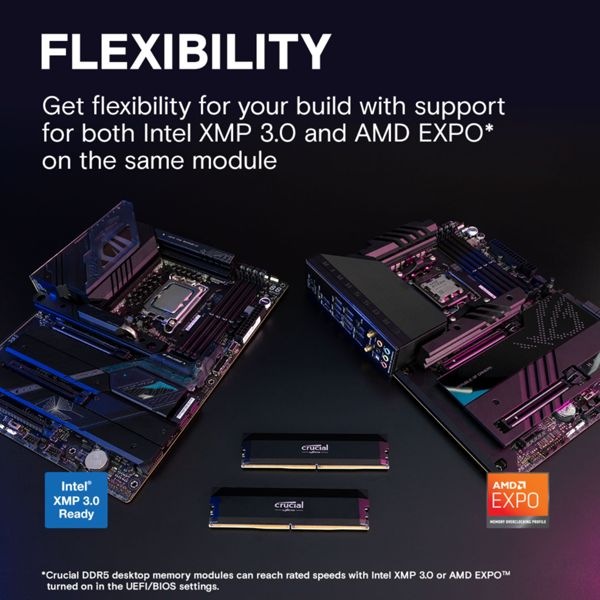 Actual product image Crucial Pro Overclocking (1 x 16GB, 6000 MHz, DDR5 RAM, U-DIMM)