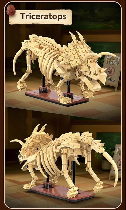 Image du produit Jamara Kids CaDA Dinosaurier Fossil Triceratops Bricks