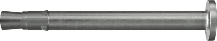 Fischer Nagelanker FNA II 6x30/50 R (50 Stk.)