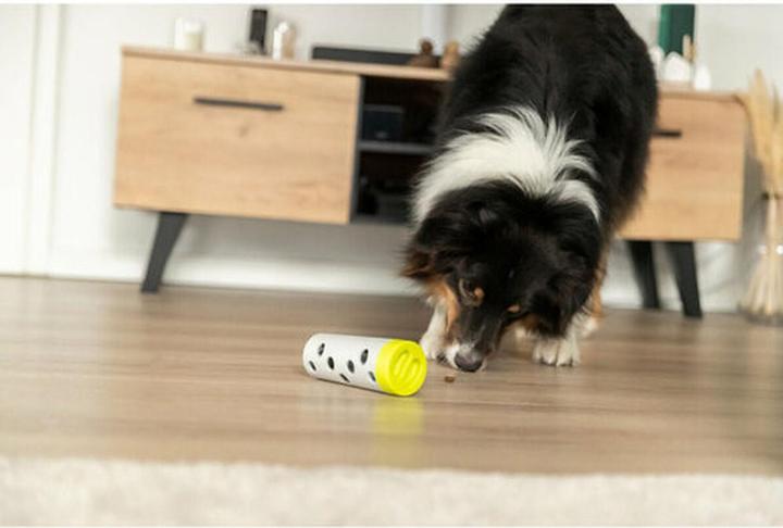 Immagine prodotto Trixie Cane Attività Snack Roll ø 6cm/ø 5×14cm (Cane da snack)