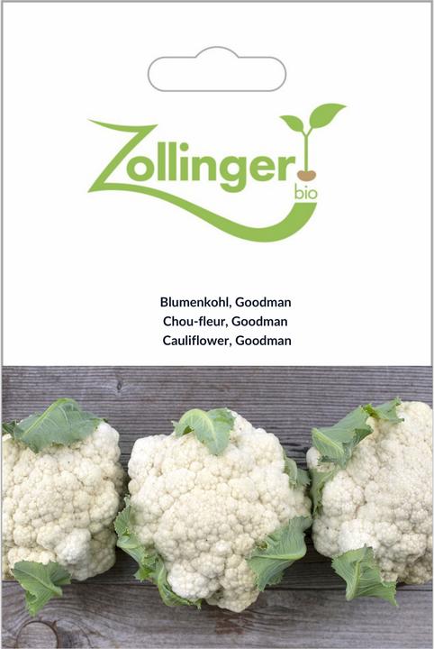 Image du produit Zollinger Bio Blumenkohl, Goodman (Graines de légumes)