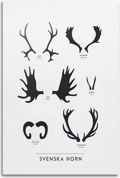 Produktbild Samsung TV-QE65S85FAEXXH Quantum OLED (65", S85F, OLED, 4K, 2025)