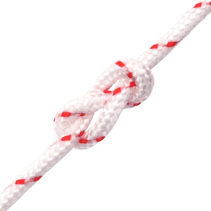 Image du produit VidaXL Corde de démarrage et Ø3 mm 10 m nylon (10 m)
