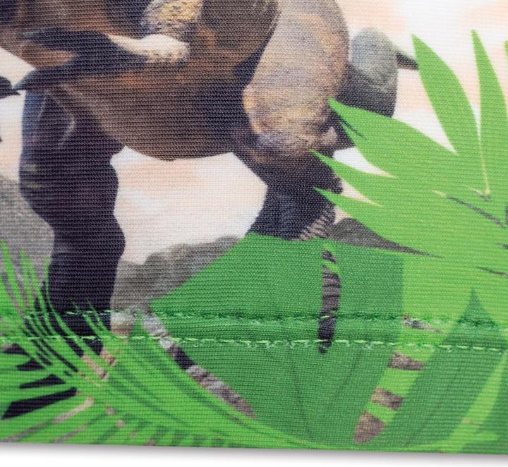 Produktbild Roth Tyrannosaurus