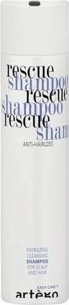 Actual product image Artego Artègo Rescue Shampoo Easy Care T 250ml (250 ml)