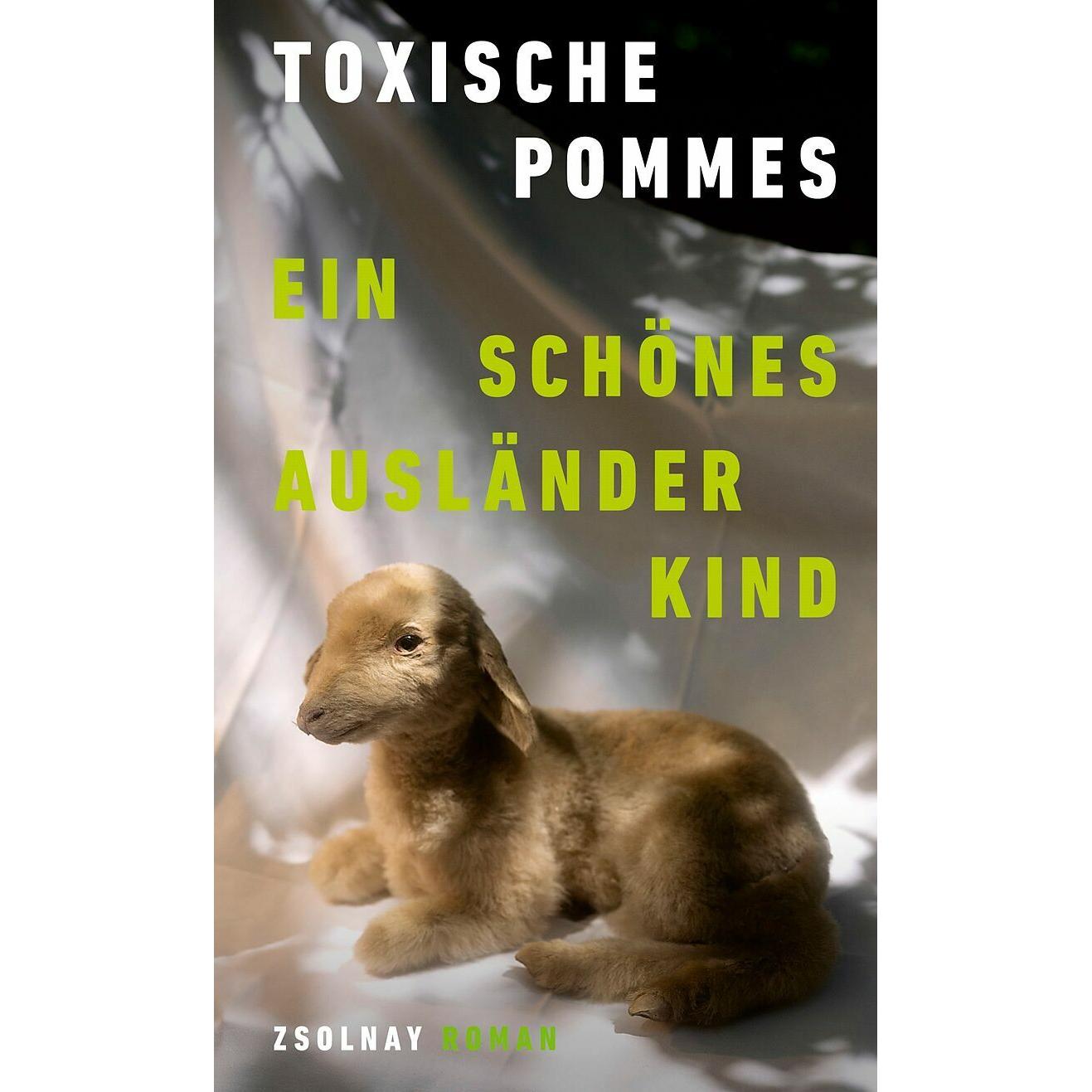 Ein schönes Ausländerkind, Belletristik von Toxische Pommes