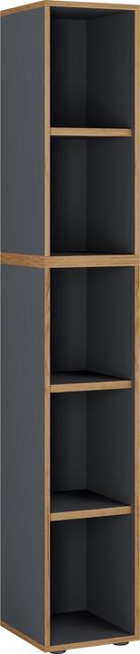 Actual product image VCM Regal Bücher Ordner Salia 5fach B. 30 cm