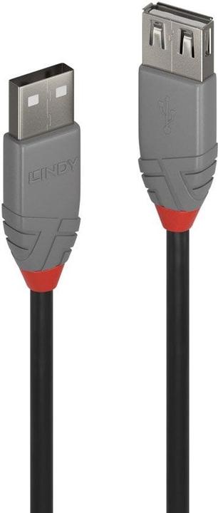 Image du produit Lindy USB/A-USB/A M-F (1 m, USB 2.0)