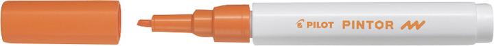 Produktbild Pilot Pintor (11x)