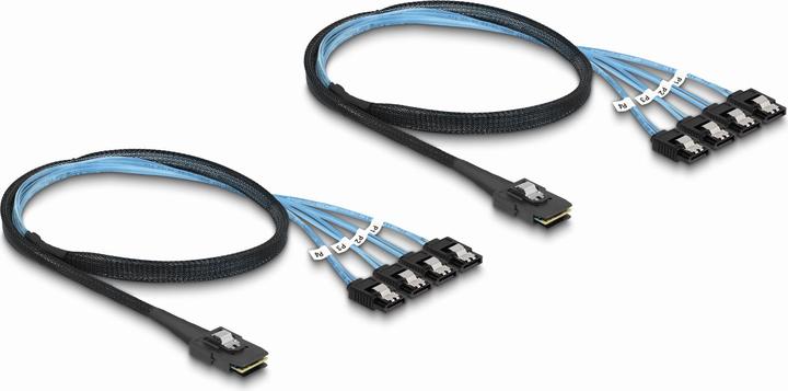 Actual product image Delock Converter M.2 2280 Key B+M male to 8 x SATA