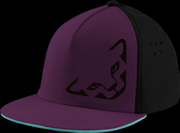 Immagine prodotto Dynafit Cappellino Tech Trucker Unisex (58)