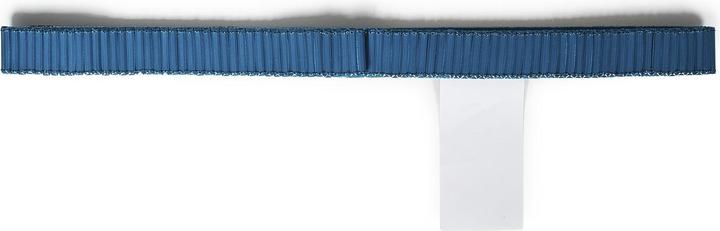 Image du produit Alberta Ferretti Belts Blue (44)