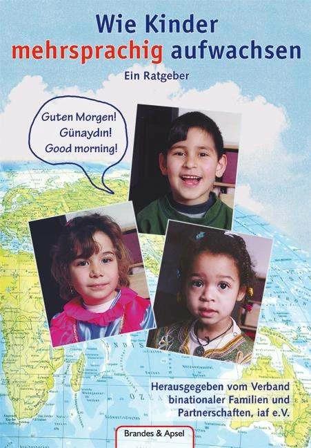 Produktbild Wie Kinder mehrsprachig aufwachsen (Deutsch, Elke Burkhardt-Montanari, 2024)