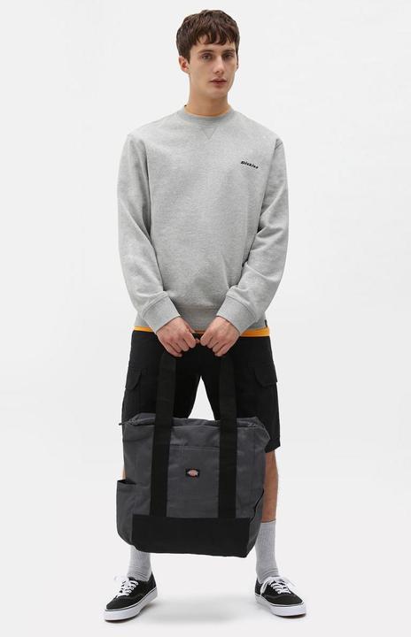 Actual product image Dickies Millerville Shorts (L)