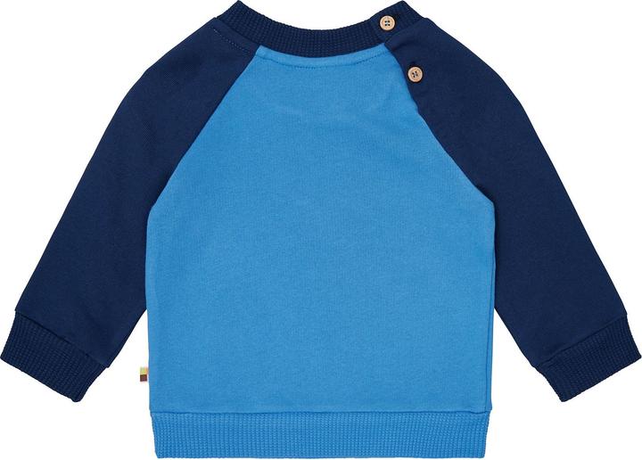 Immagine prodotto loud + proud Felpa con maniche raglan (104)