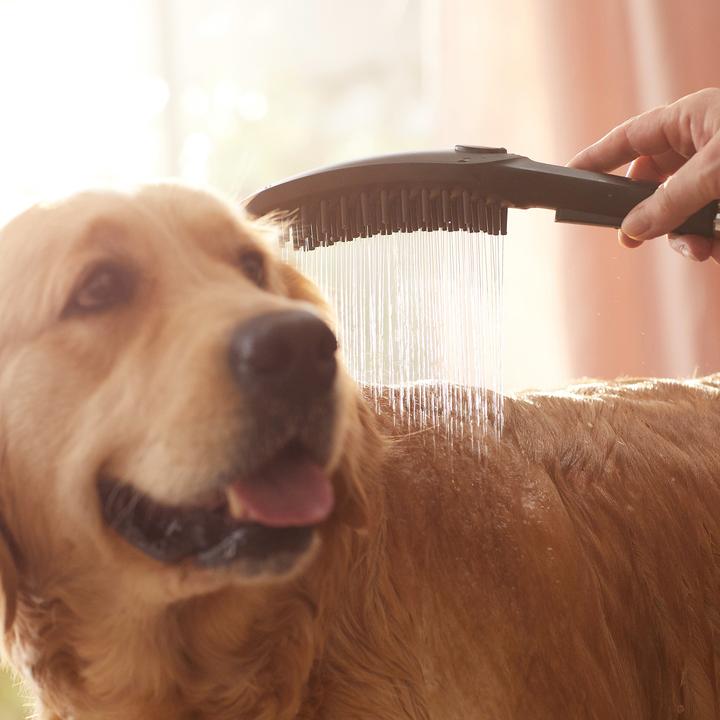 Produktbild hansgrohe DogShower Hundebrause 150 Select (3 Strahlarten, 7.60 l/min)