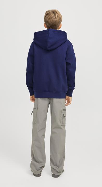 Actual product image Jack & Jones Jorvesterbro Sweat Hood Noos Jnr (164)