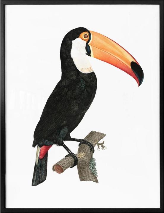 Produktbild Trenddeko Tukan auf einem Ast (30 x 40 cm)