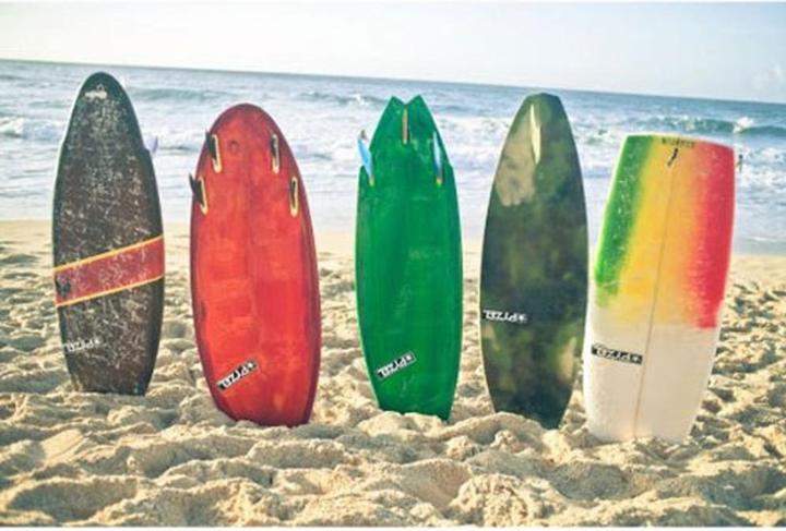 Image du produit Nixon Assiette Time Acetate Tortoise (Montre analogique, 37 mm)