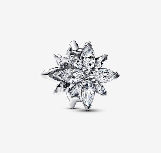 Image du produit Pandora Charm (Argent 925)