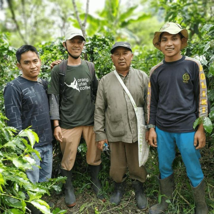 Produktbild Tropical Mountains Sumatra Orang Utan (1000 g, Mittlere Röstung)