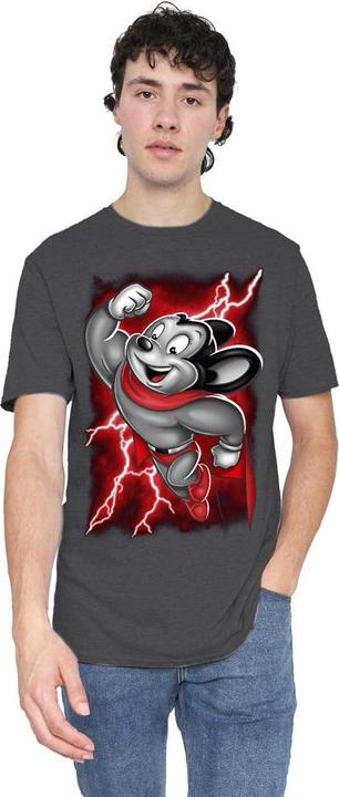 Produktbild Fruit of the Loom Mighty TShirt (3XL)