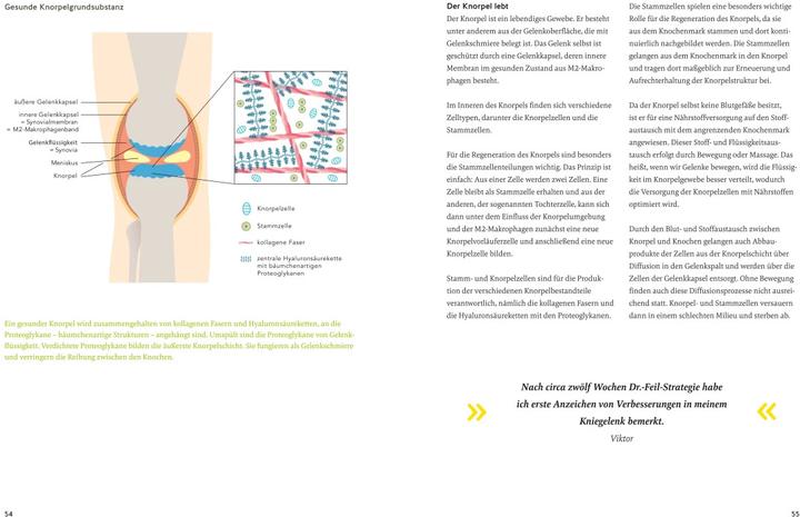 Actual product image Arthrose endlich heilen (German, Wolfgang Féile, Tobias Homburg, 2024)