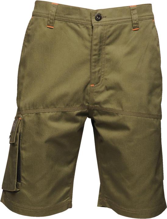 Actual product image Regatta Heroic CargoShorts (44)