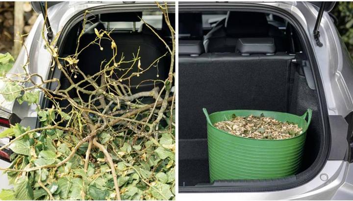 Actual product image Bosch Home & Garden AXT Rapid 2200