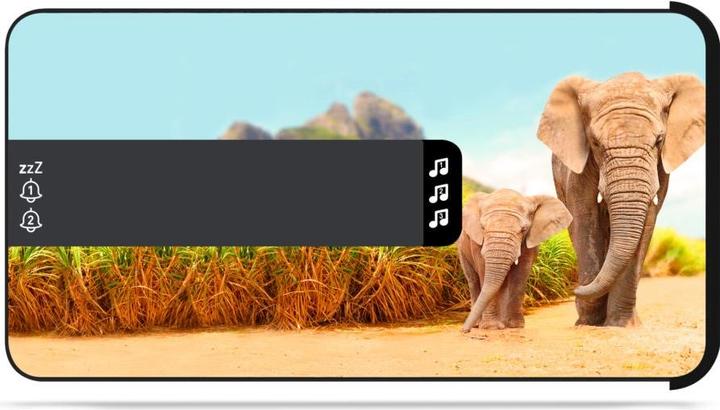 Actual product image Bigben Safari