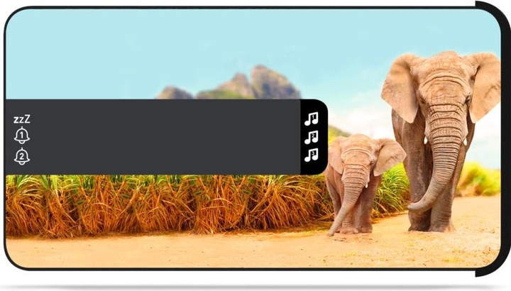 Productafbeelding Bigben Dubbele wekker R16 - Safari