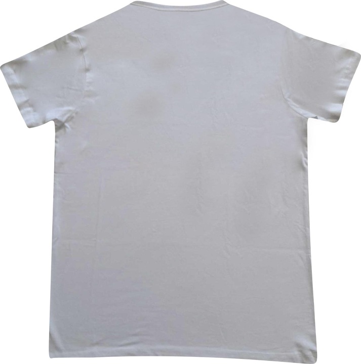 Actual product image AC/DC TShirt Logo (38 D)