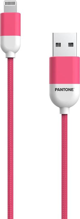 Produktbild Pantone Celly PT-LCS001-5P Handykabel Rosa 1,5 m USB A Lightning (1.50 m, USB 3.0)