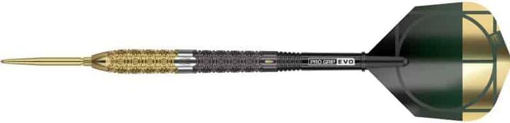 Target Punta d'acciaio Obiettivo Cult Envy 02 SP (24 g)